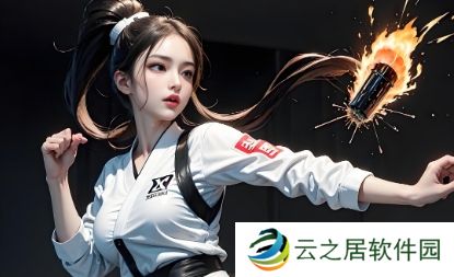 韩国撞墙客机黑匣子已找到 官方确认飞机遭鸟群撞击